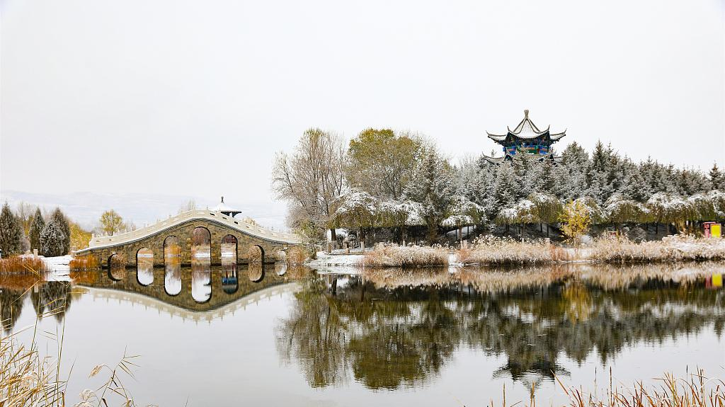 1669097826506677.png 1669097826506677.png